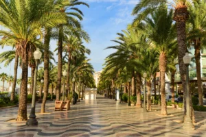 Palm-lined mosaic walkway of Explanada de España