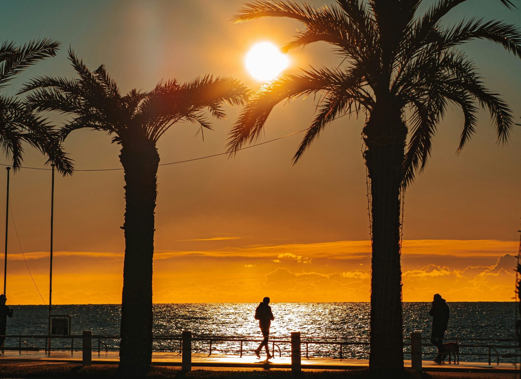 Palm trees silhouetted against a colorful Alicante sunset over Postiguet Beach